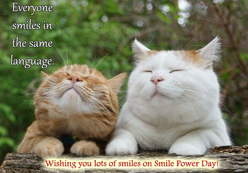 Image result for Smile Power Day gif