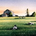 Beginning Of Summer.