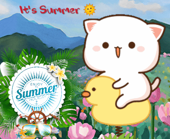 Enjoy The Summer Holiday!