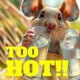 Not Too Hot!