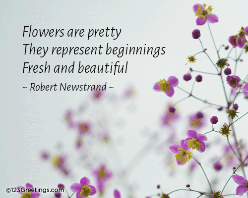 A Haiku On Pretty Summer Flower.