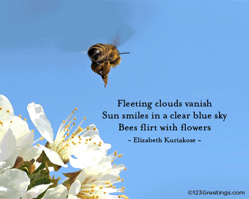 Between The Bees And The Flowers.