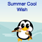 Cool Wish On Warm Summer Day!