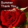 Summer Thank You Wish With Roses.