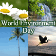 Wishes On World Environment Day.