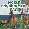 Happy World Environment Day.