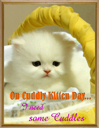A Cute Cuddly Kitten Day Card.
