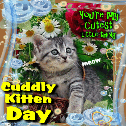 You're My Cutest Little Thing. Free Cuddly Kitten Day eCards | 123 Greetings