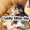 Cute Cuddle For You Dear.