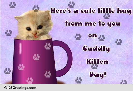 Send Cuddly Kitten Day Ecard!