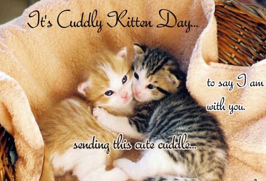 Cute Cuddle For You Dear Free Cuddly Kitten Day Ecards Greeting Cards 123 Greetings