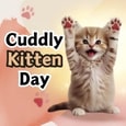 Cute Wish On Cuddly Kitten Day.