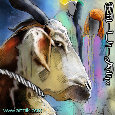 An  Eid ul-Adha Sheep.