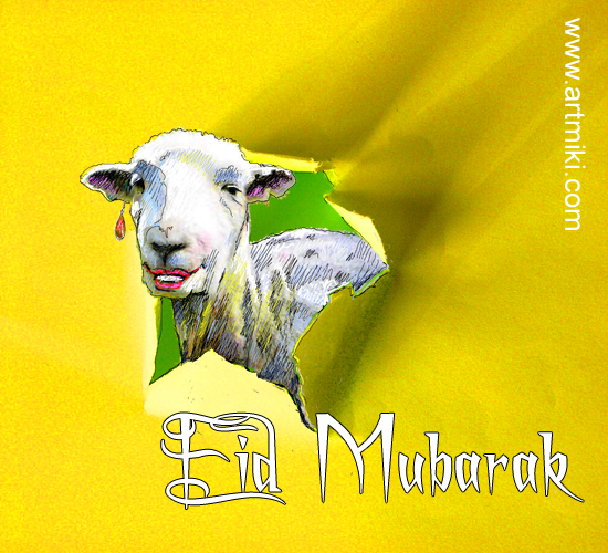 Eid Mubarak, From A Sheep.