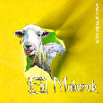 Eid Mubarak, From A Sheep.-eid al adha greeting