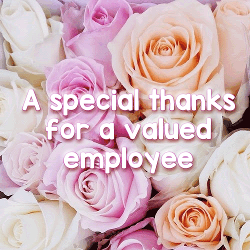 A Special Thanks... Free Employee Appreciation Day eCards 123 Greetings