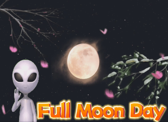 Enjoy The Full Moon Night.