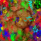 Happy Holi.
