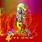 Wish Holi Mubarak To Your Loved Ones.