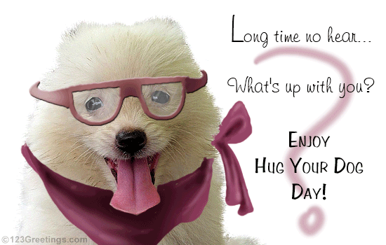Happy Hug Your Dog Day.