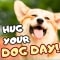 Wonderful Ecard On Hug Your Dog Day.