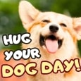 Wonderful Ecard On Hug Your Dog Day.
