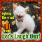 A Laughing Cat!
