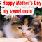 Heartfelt Mother%92s Day Wishes.