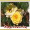 Mother%92s Day Rose.