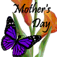 Flowers And Butterflies.