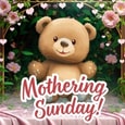 Bear Hugs And Love For Your Mother