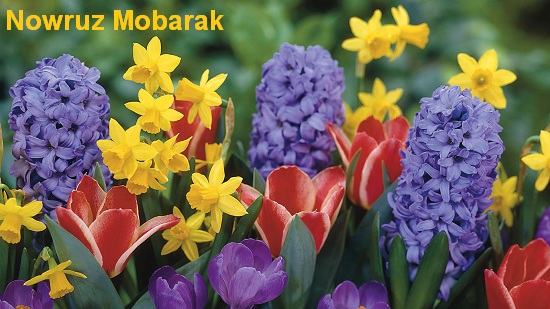 Happy Nowruz With Spring Flowers.