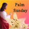 A Blessed Palm Sunday.
