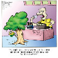 Under Age Tree.