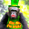 St. Patrick's Day Luck From A Charmer!