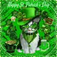 Cute St. Patrick’s Day Cat.