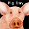 Smelling Pig...