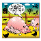 Piglets.