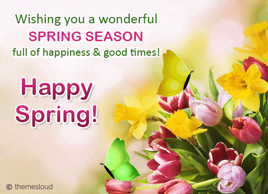 Wishing You a Wonderful Spring Greeting Card