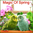 Birds Of Spring!