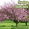 A Spring As Special As You Are!