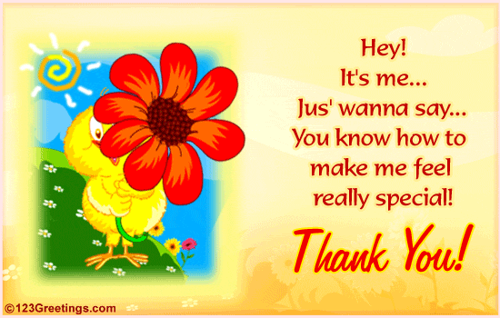 A Special Thanks...