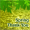 Warm Thank You Wish On Spring.