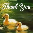 Thank You For Your Wishes.