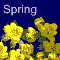 Harbingers Of Spring.