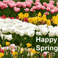 Happy And Colorful Spring Wishes.