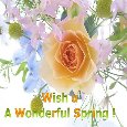Wishes For A  Wonderful Spring.
