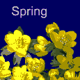 Harbingers Of Spring.