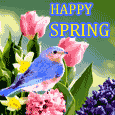 Happy And Colorful Spring Wishes!