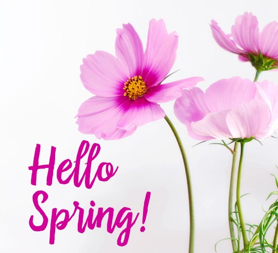 Hello Spring! Free Spring Equinox eCards, Greeting Cards 123 Greetings